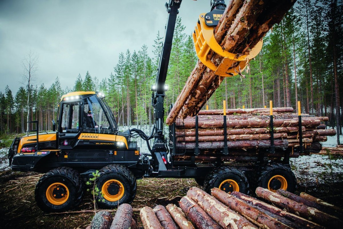 Курс машинист трелевочной (лесозаготовительной) машины