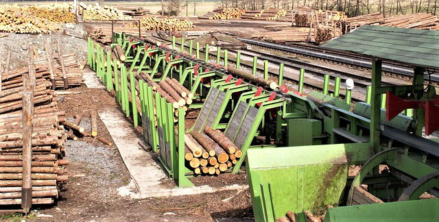 Курс Оператор линий сортировки бревен