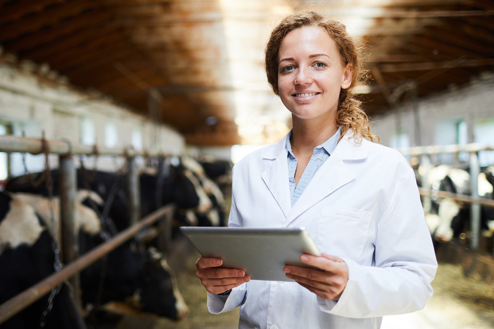 Курс Оператор животноводческих комплексов