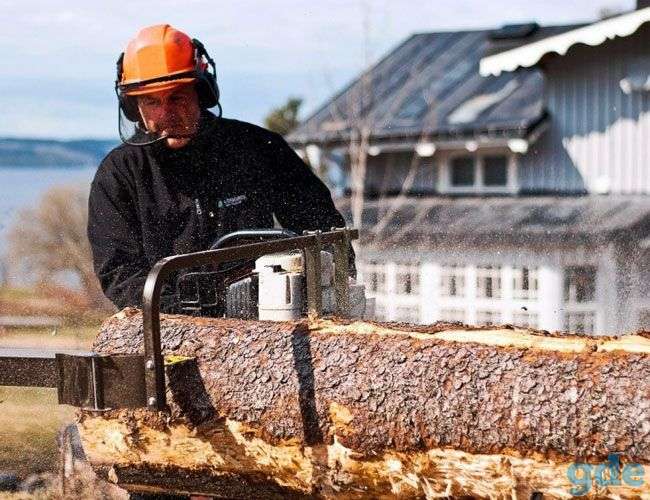 Курс Рамщик